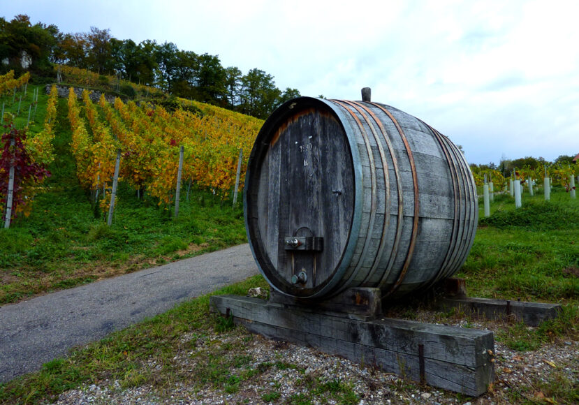 Weinbau_Fanti_Weinfass