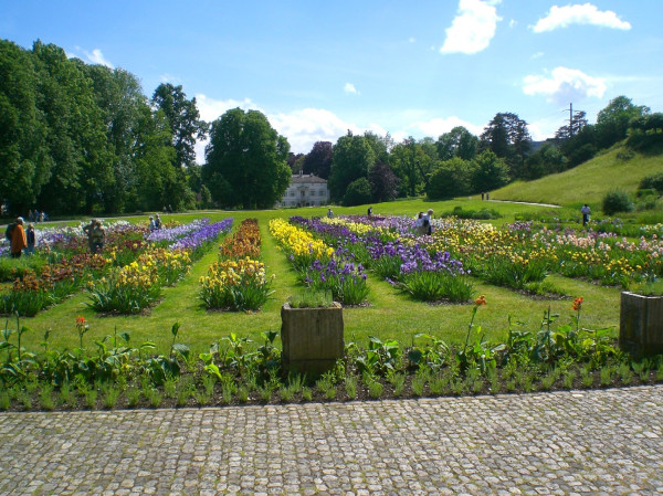 Park im Grünen - Grün 80