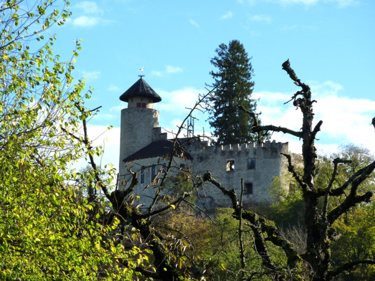 Ermitage, Schloss Birseck