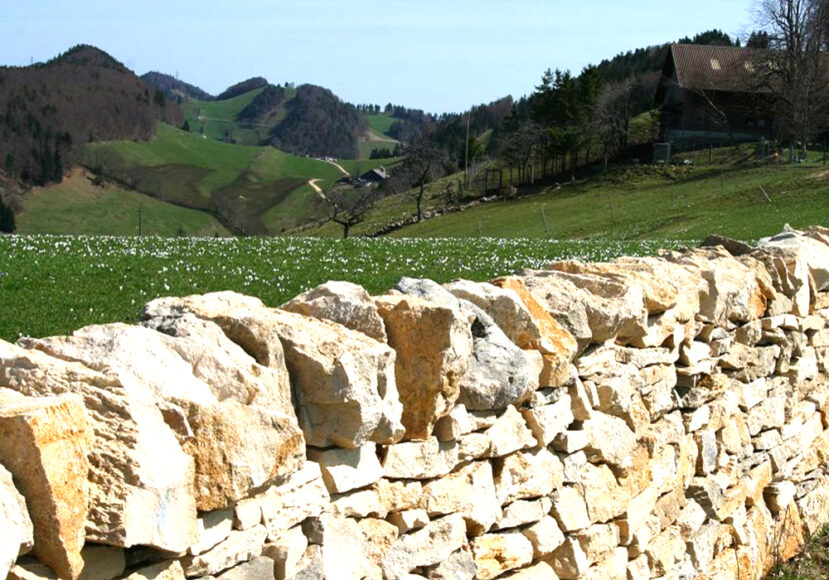 Trockenmauer_Probstenberg