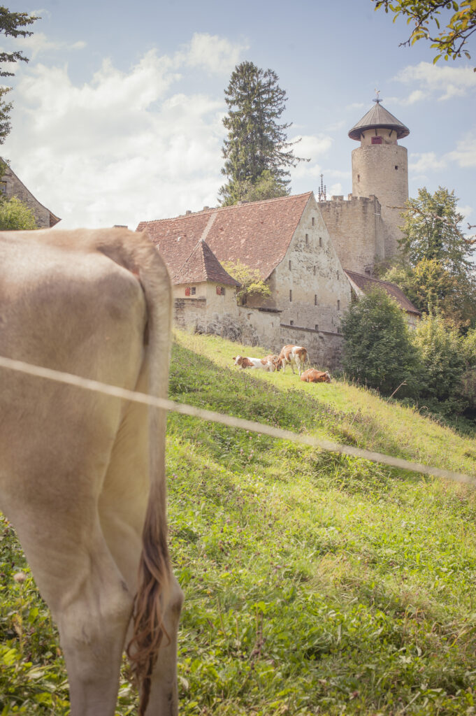 viasurprise_c_aeberhard_schloss_birseck